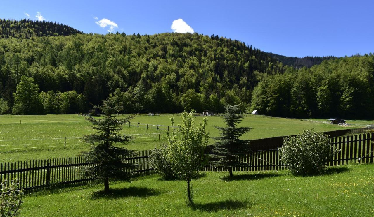 Apartament Rojka Zakopane Ngoại thất bức ảnh